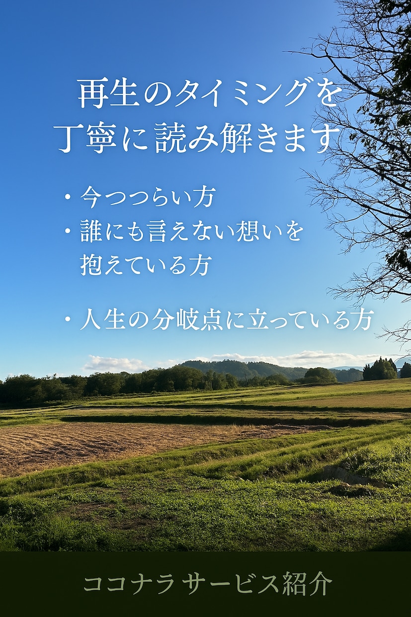 宿命を読み解き再生の時期をお伝えします 人生どん底からの再生タイミング鑑 イメージ3