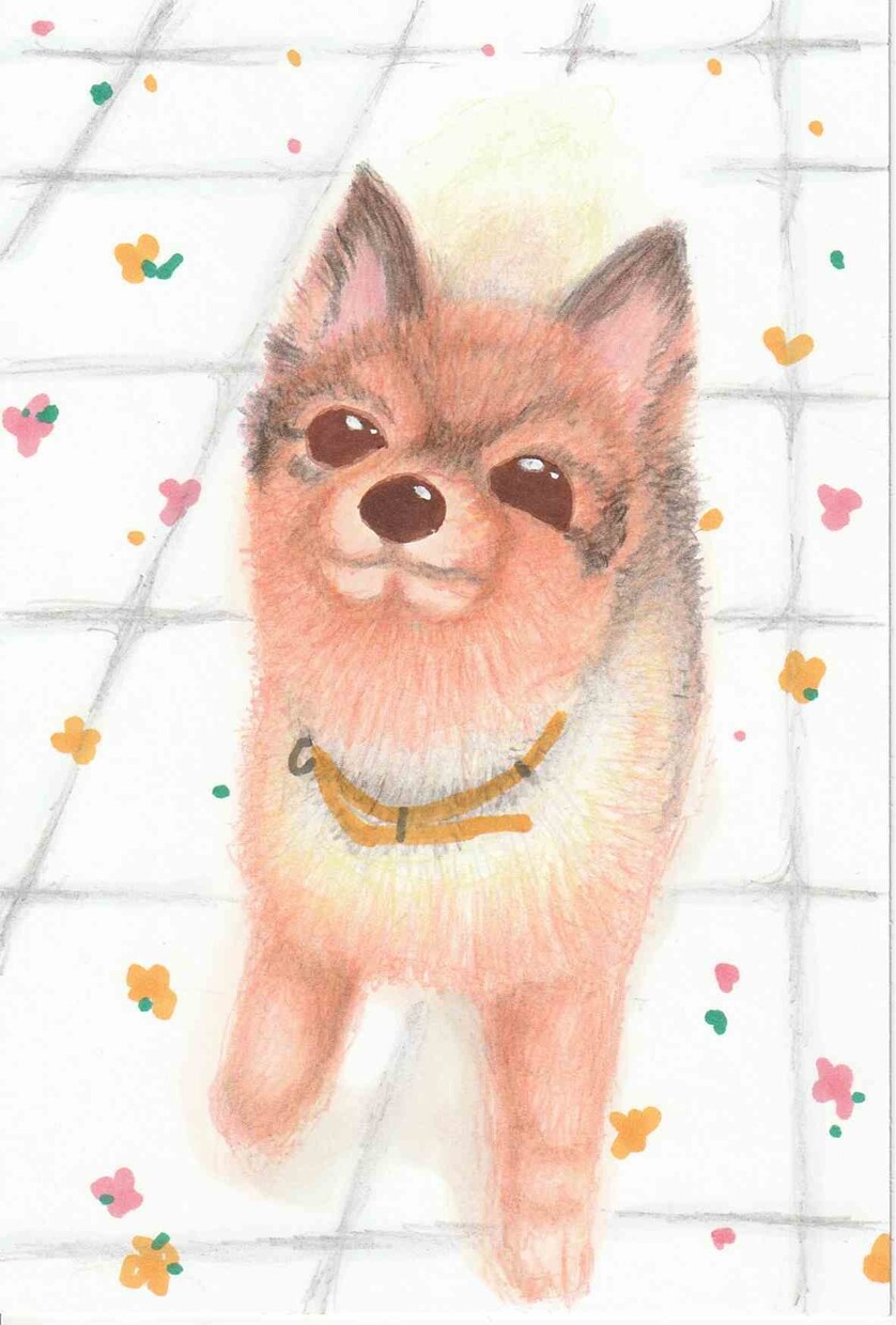 ペットの似顔絵をお描きします 記念やプレゼントにいかがですか イメージ5