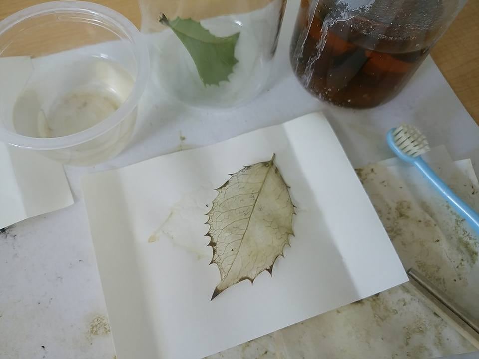 理科・科学系の話題をわかりやすく解説します 教養や雑学として理科を学びたいあなたへ イメージ2