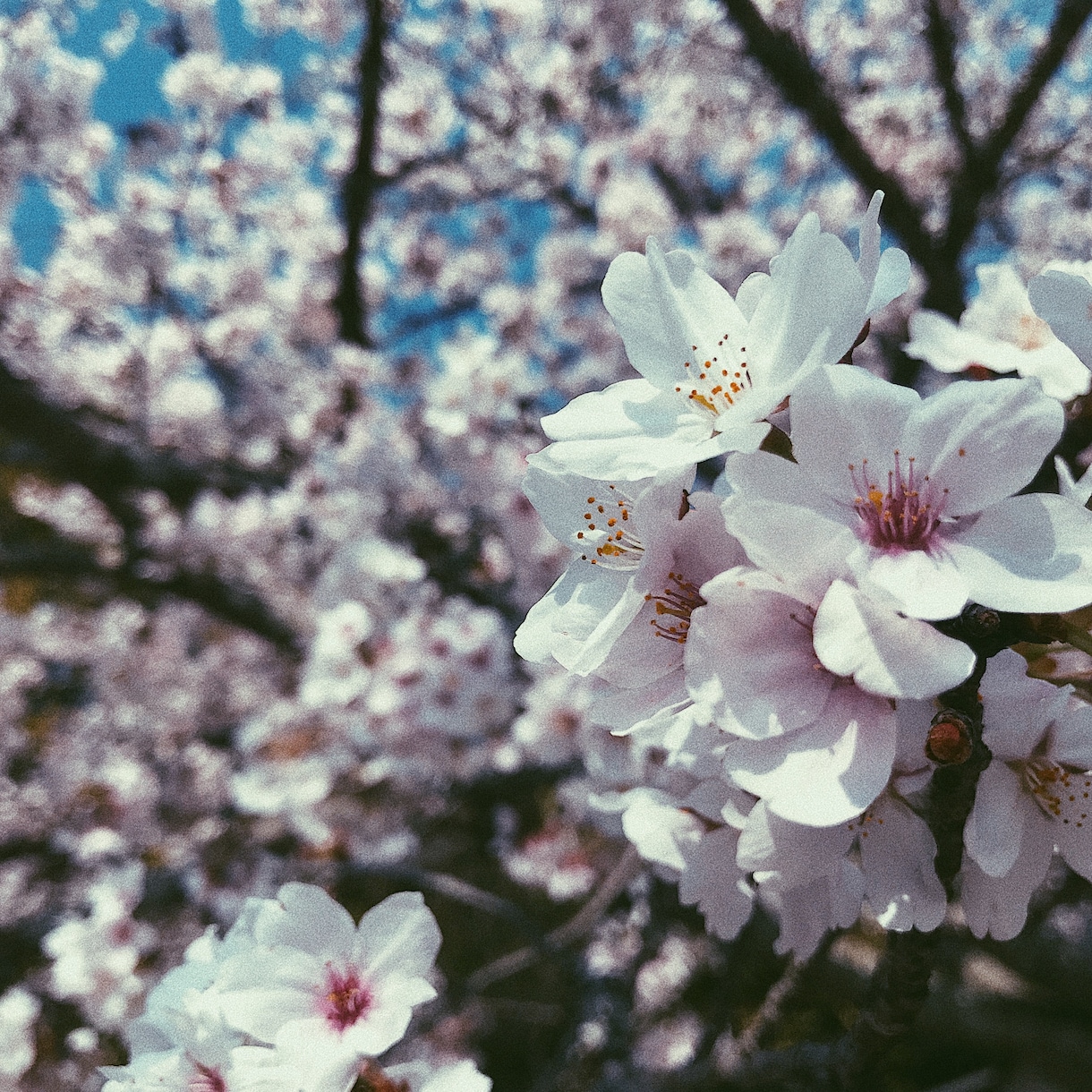 風景やカフェ等のお洒落な写真を提供します 女性や男性を問わず、「お洒落」「素敵」が好きな方向けに イメージ1