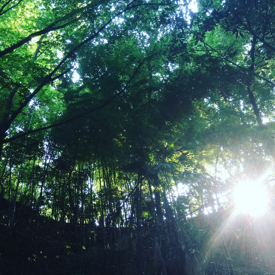 陰陽師がどちゃクソお説教します 【大人になって怒ってもらえなくなってしまった貴方へ】 イメージ1