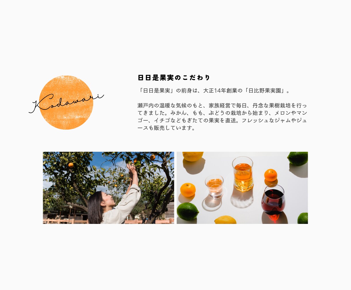 簡単に更新・管理ができるECサイト作ります WordPressを使ったネット通販ショップサイト制作 イメージ6