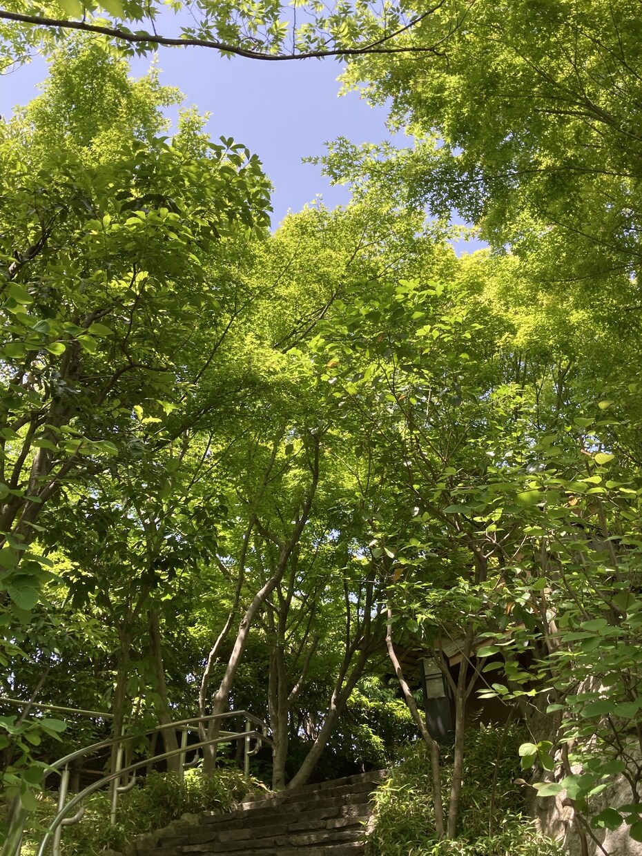 モニター価格で✨誰かに聞いて欲しい！に寄り添います 短時間でも歓迎♬何でもお気軽にお話し下さい✨ イメージ5