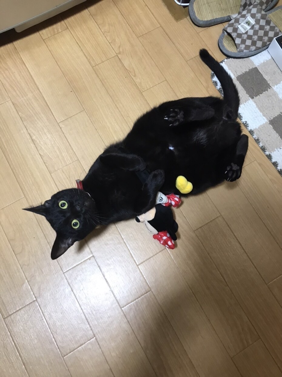 あなたの心に優しく寄り添います 無理しなくて大丈夫だよ。ここでは素直に話においでね！ イメージ10
