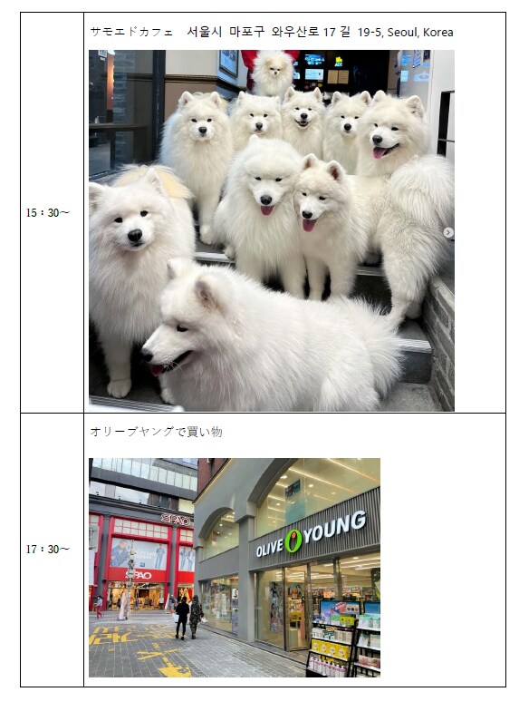 旅行プラン代行！お客様の為の旅行プラン考えます 楽しい・わかりやすく細かい旅行日程しおりプレゼント♪ イメージ3