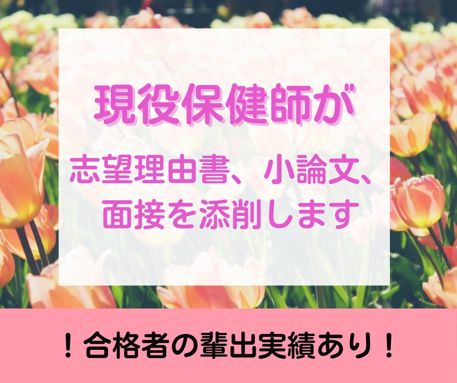 合格をつかむ！志望理由書、小論文、面接の添削します ⭐現役保健師があなたのベストをお手伝い⭐！合格者輩出！ イメージ1