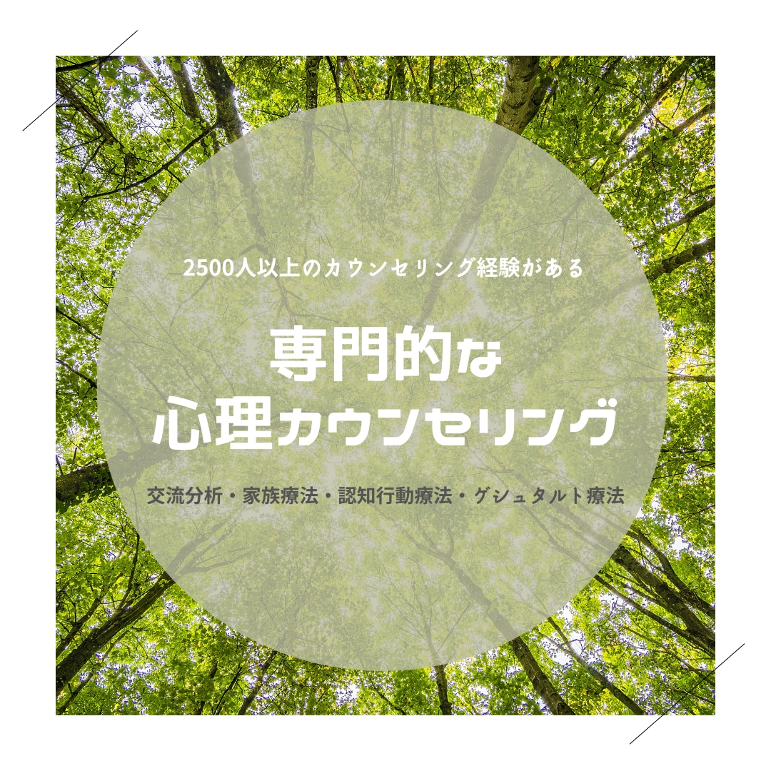 公認心理師が心理カウンセリングをします 重くて深い悩みでもOK！人生の伴走者として力になります イメージ2