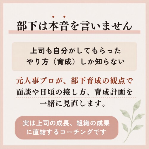 3ヶ月コーチングで部下育成の悩みに決着をつけます 元トヨタ人事プロ／元コーチング会社代表が徹底的にサポート イメージ3