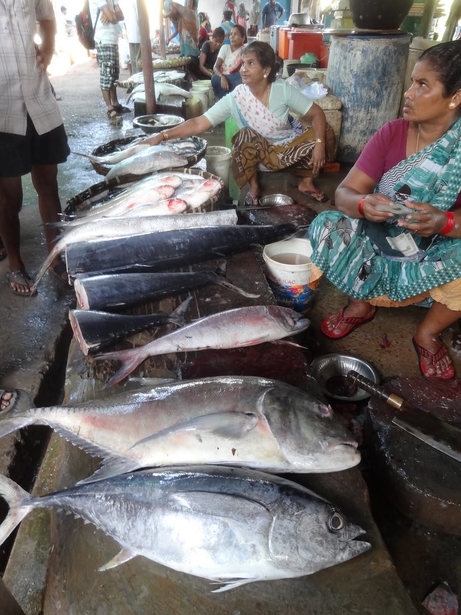 インドのお土産を提案します スベらない外さない。喜ばれる一品を一緒に探しに行きましょう！ イメージ2