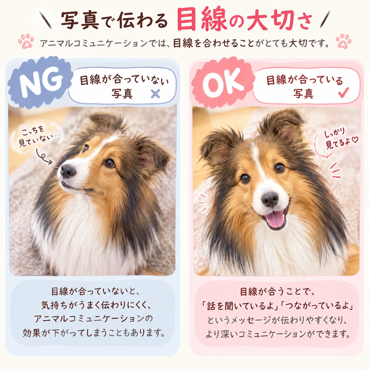 アニマルコミュニケーション/動物さんとお話します 大切に想う動物さんに、貴方の声をお届けします✦.* イメージ2