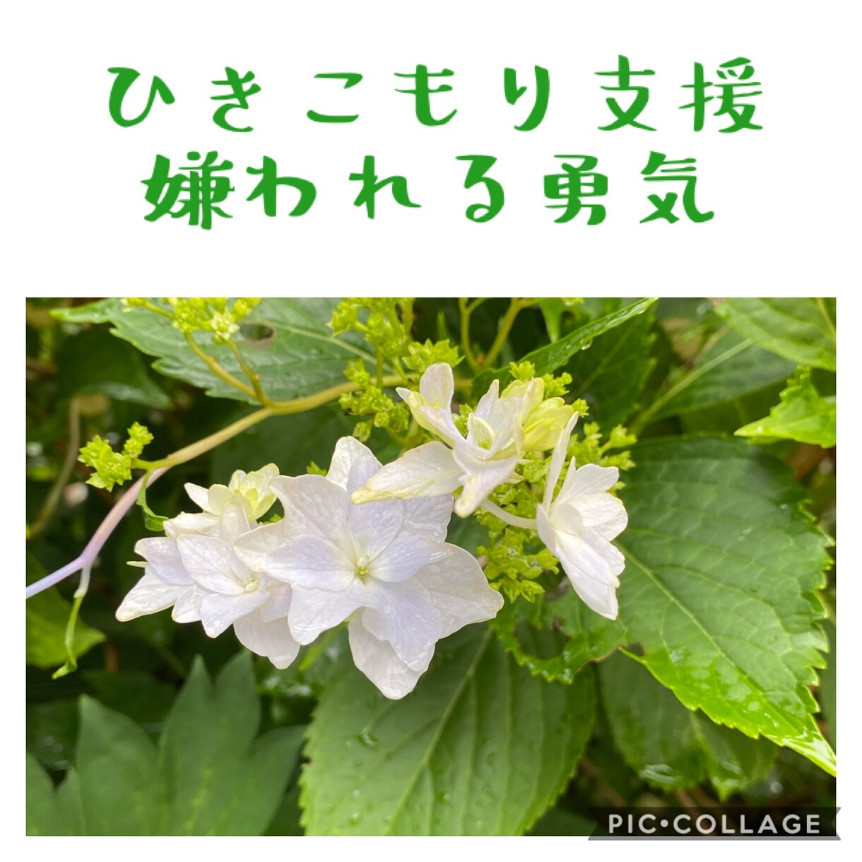 不登校・ひきこもり・子どもの暴言・相談承ります 専門資格保持者が「不登校やひきこもりの悩み」にお答えします。 イメージ5