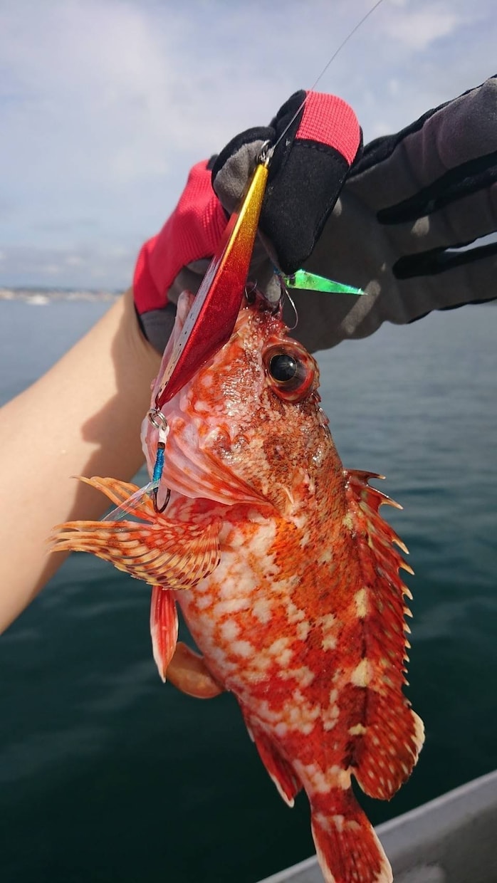 釣りガールがenjoyフィッシングをサポートします 初心者向け⭐︎最大に楽しむ方法をお伝え致します！ イメージ1