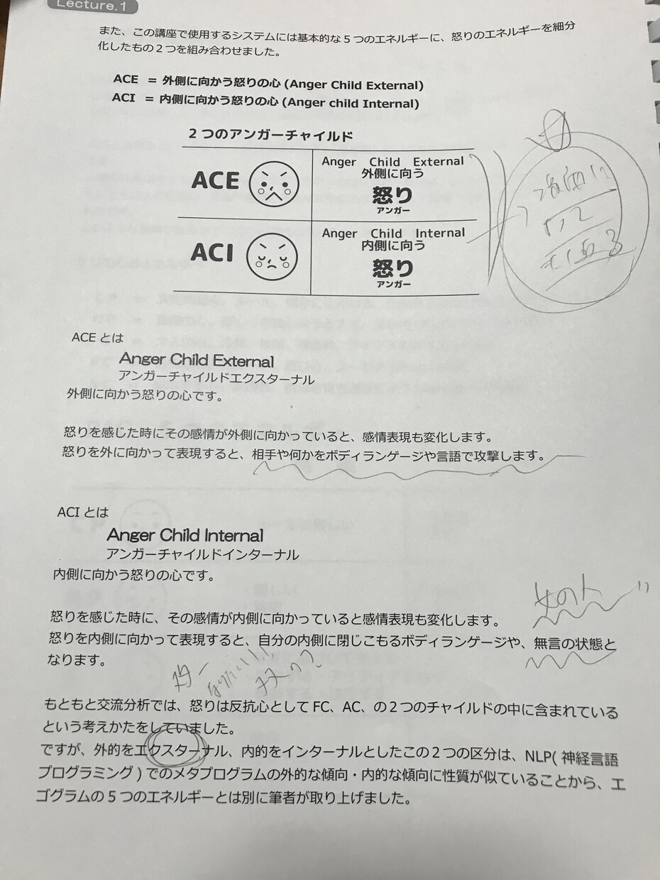 TA(交流分析)カウンセリングします 個人の性格特性を五段階のエゴグラムに基づいて解説します！ イメージ2