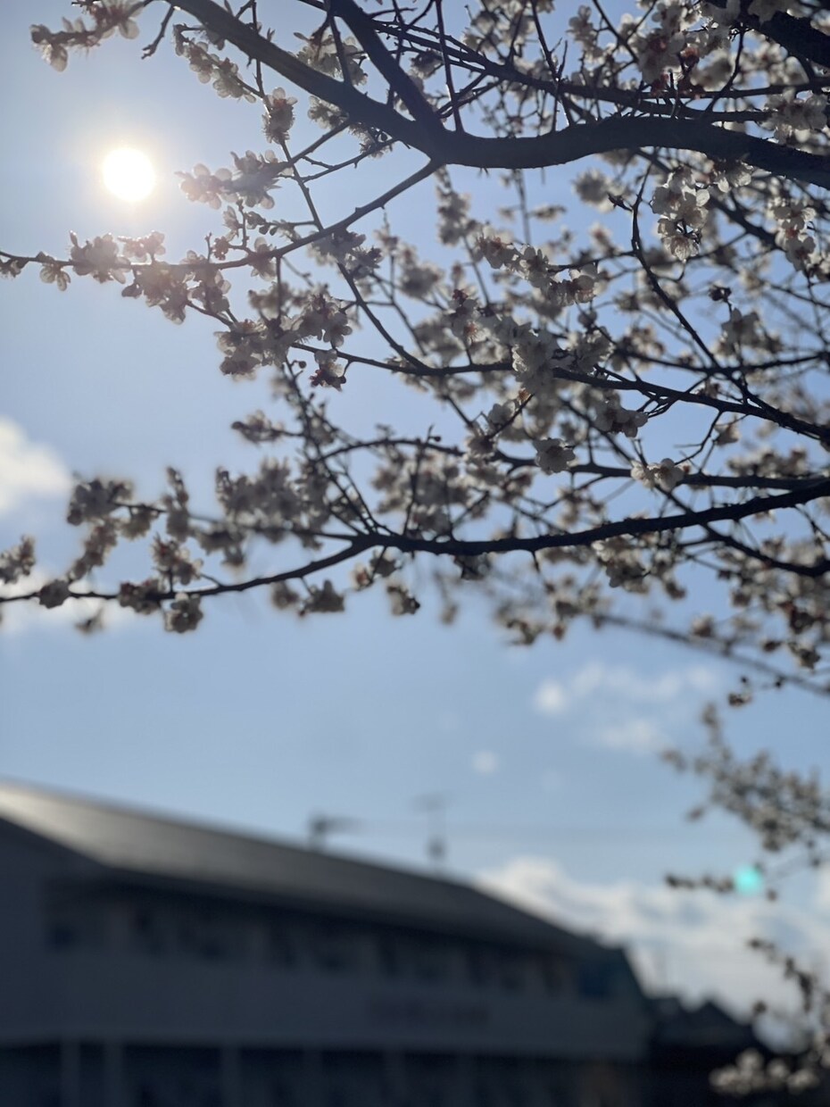 安心してください。辛いあなたを幸せにます 大丈夫ですよ。あなた様が幸せで居てほしい。 イメージ1