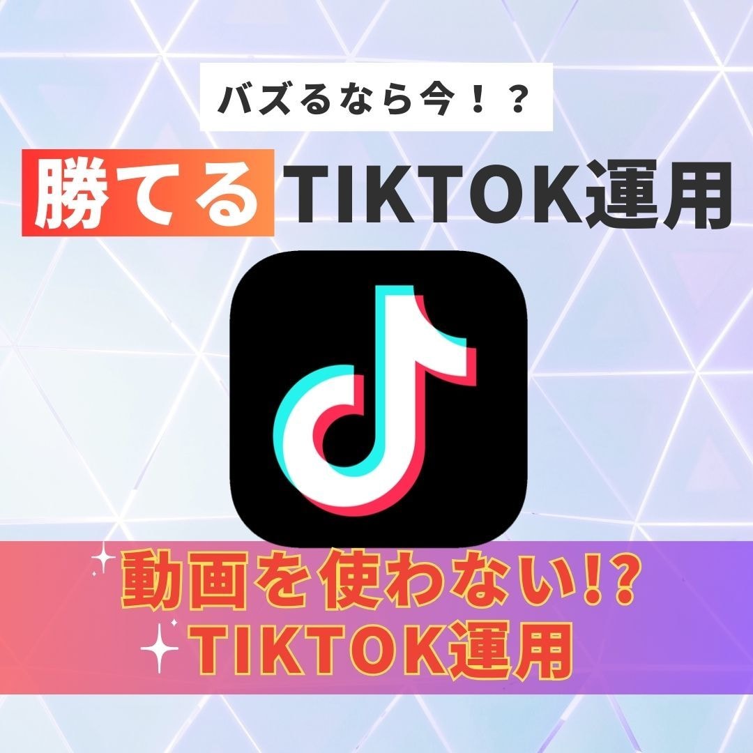 現役プロがTikTok運用をします 今がバズるチャンス⁉ティックトックを手軽に運用できる！ イメージ1