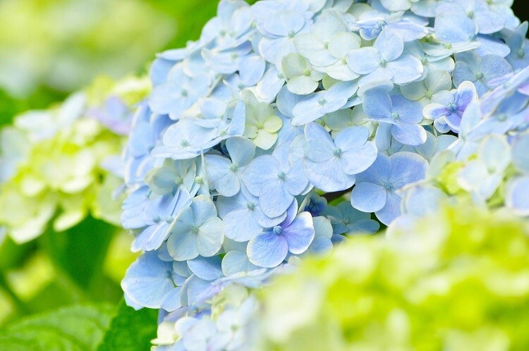 あなたのお悩み、苦しみをお聞きします。 イメージ1