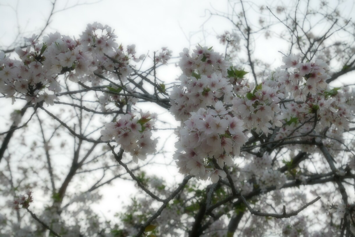 風景写真の素材提供をいたします 趣味で風景写真を撮影しております。 イメージ5