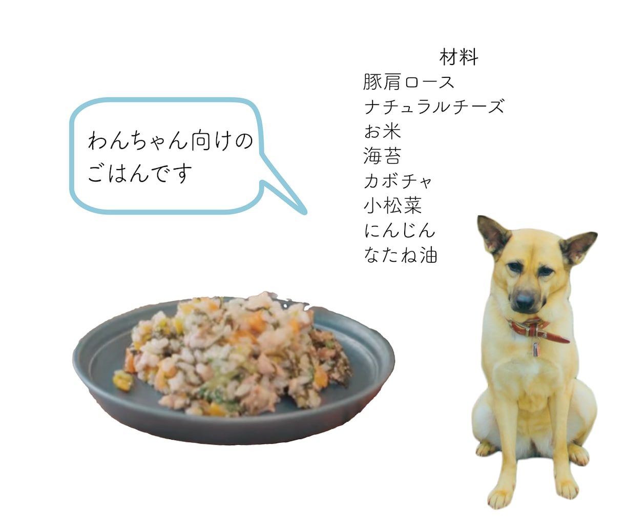 犬と猫の手作りレシピ(一般食)を作成いたします ペット栄養管理士兼獣医師による手作りレシピ作成サービスです イメージ2