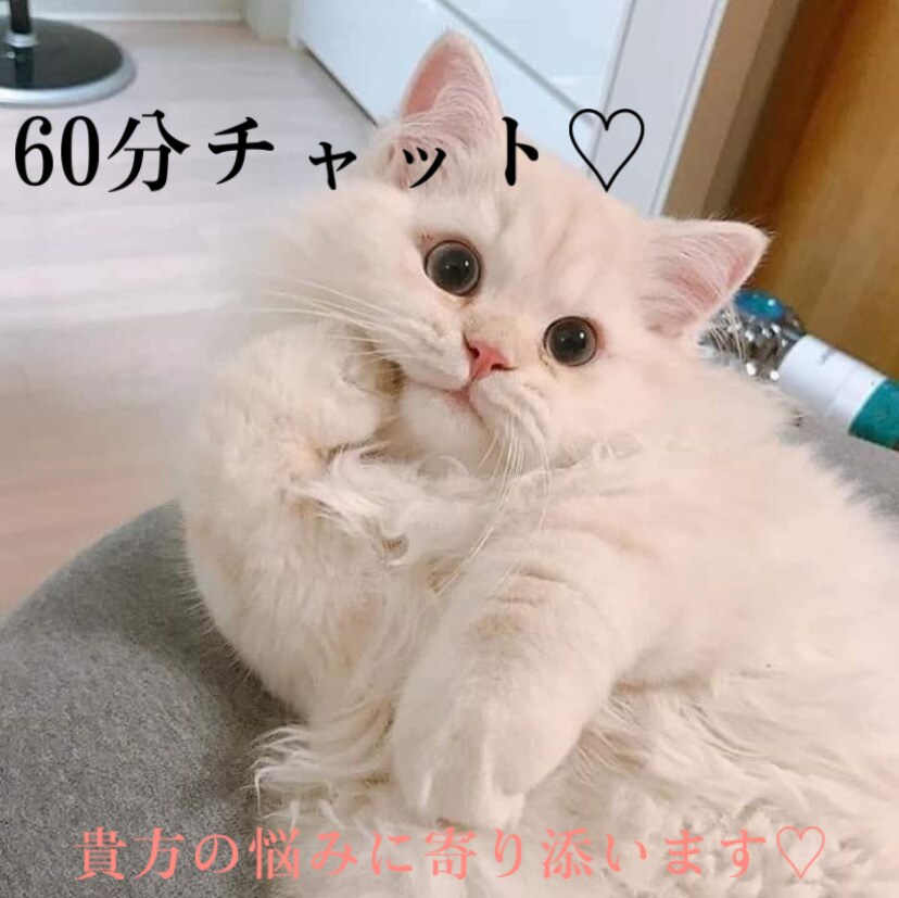 お試し1時間♡貴方の悩みに寄り添います チャット✩彼女✩LINE感覚✩女友達✩癒し✩相談✩愚痴 イメージ1