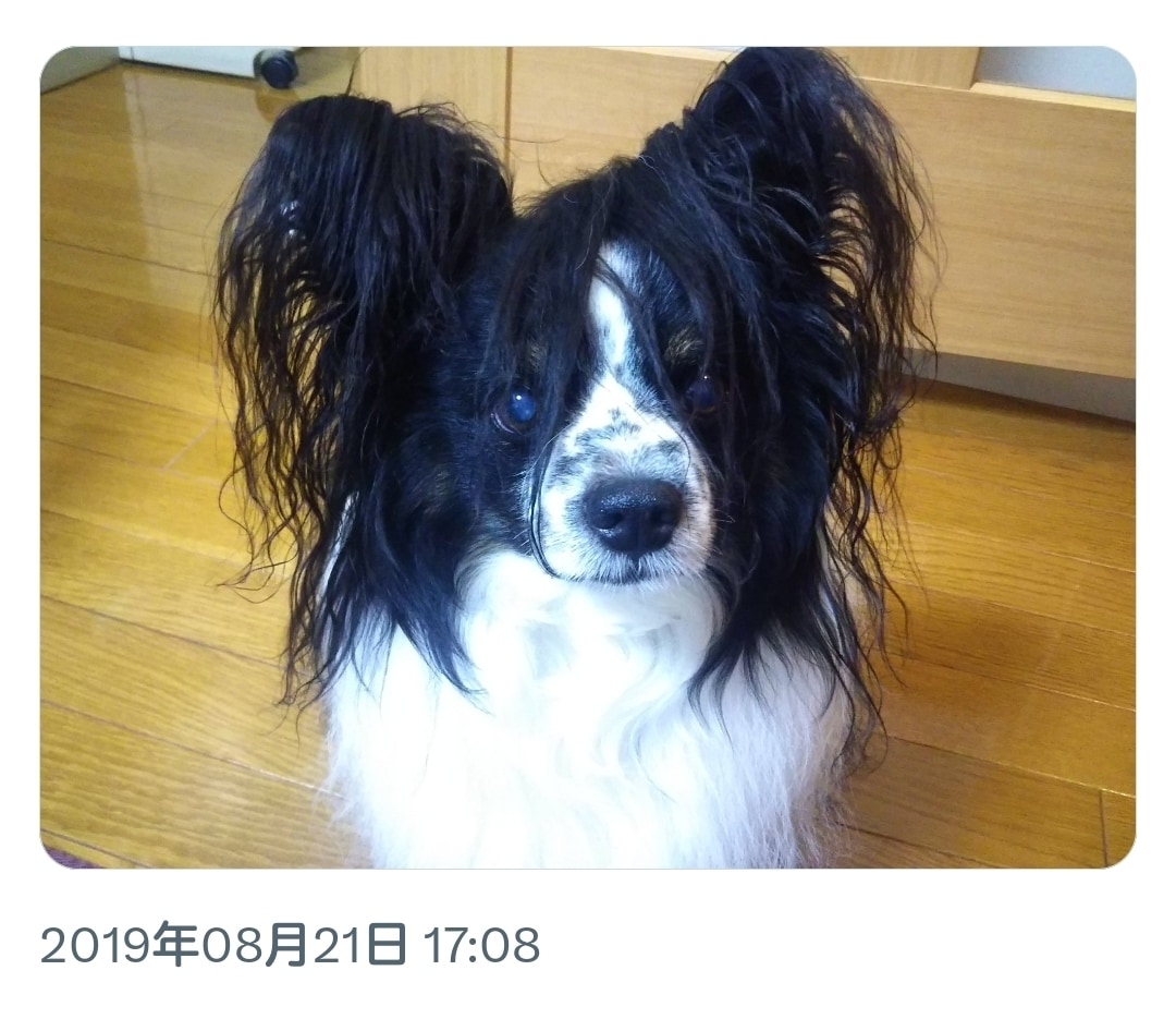 なんでも話せる、心友になります 気軽な気分転換に✨️ 雑談したり・愚痴ったり・相談したり☘️ イメージ5