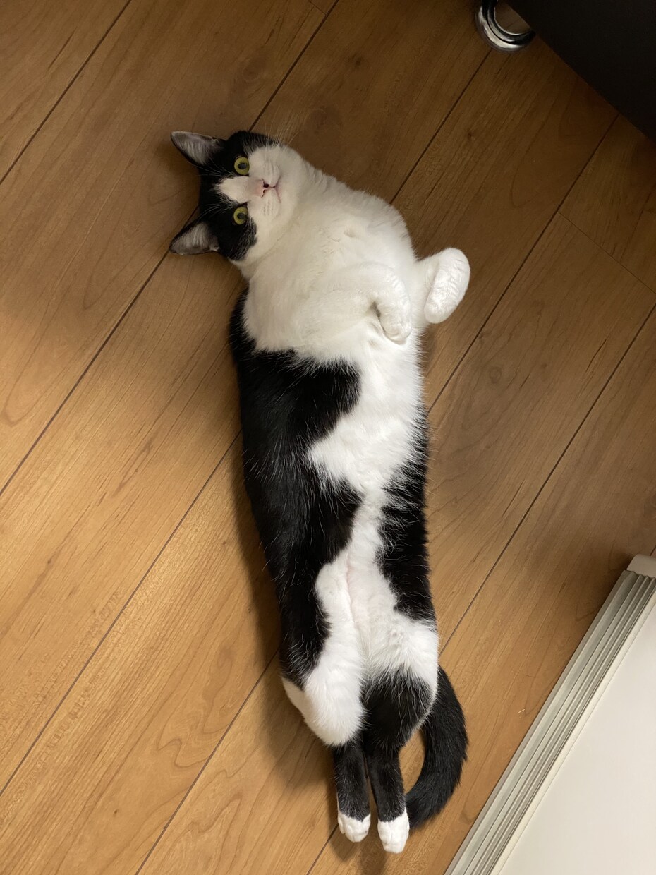 なんでも聞きます 誰にも話せないこと話したくないですか！？ イメージ1