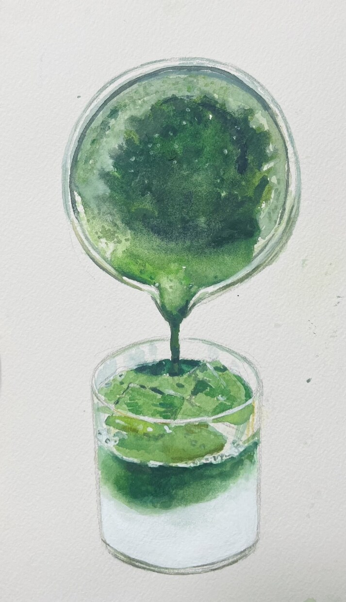 リアルな食べ物イラストを水彩画で描きます メニューやチラシのための水彩画を描いてデータ化します。 イメージ8