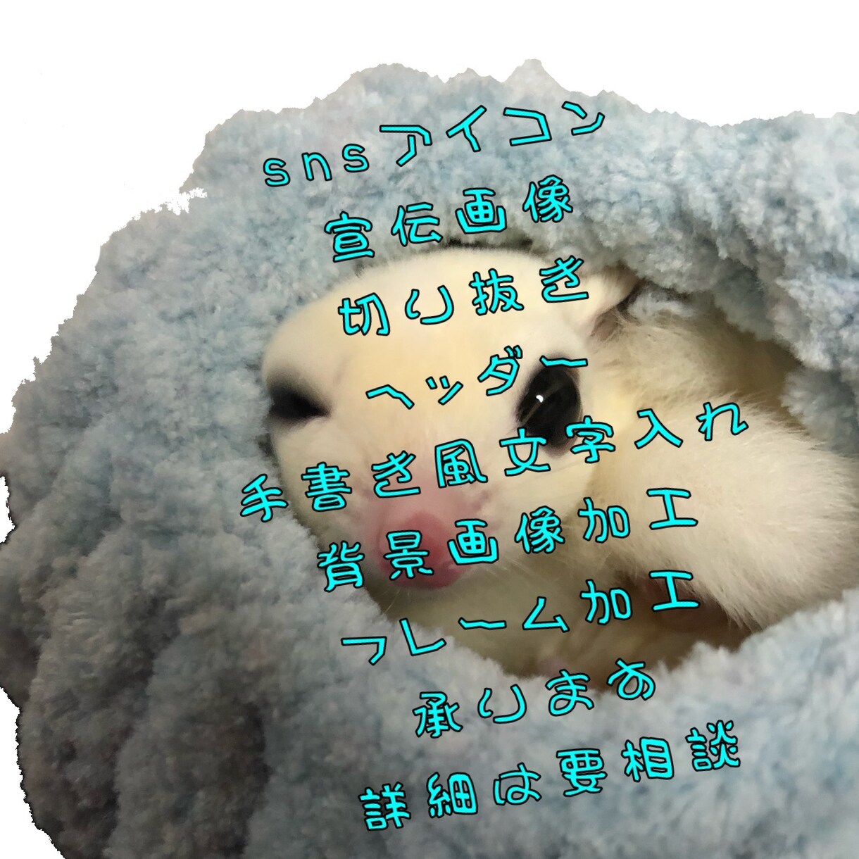 画像を切り取り、背景合成、文字入れします 画像を切り取り、背景合成、文字入れ、sns用のアイコン加工 イメージ5