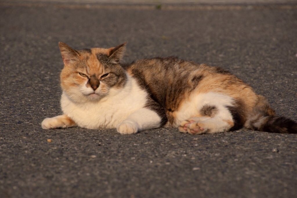 3日間　あなたの心の中を引き出します あなたの本当の望みに気付くと世界が変わります。 イメージ1