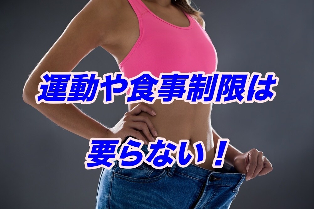 1ヶ月で8キロ痩せた確実に痩せる方法教えます 無理な運動や食事制限は要らない『在宅ダイエット方法』です イメージ1