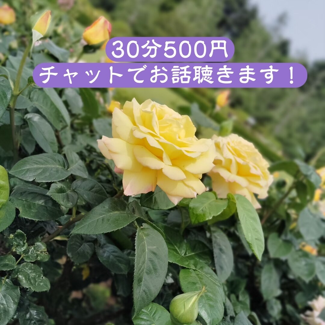 あなたの想いチャットにて聴きます 対面では無いからこそ気軽にお話出来る事ありませんか？ イメージ1