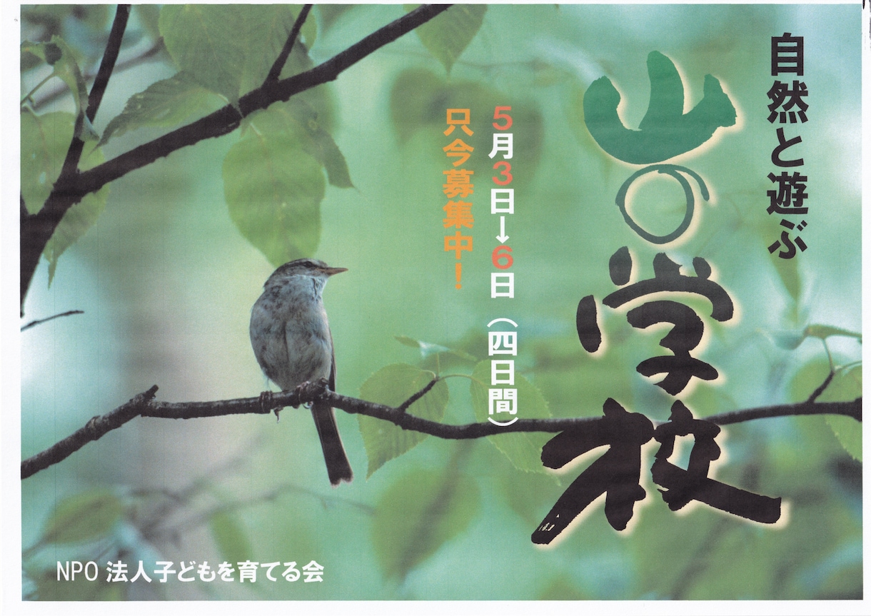 心に響く筆文字をお書きします ポスターの題字を個性的に表現したい方へ イメージ6