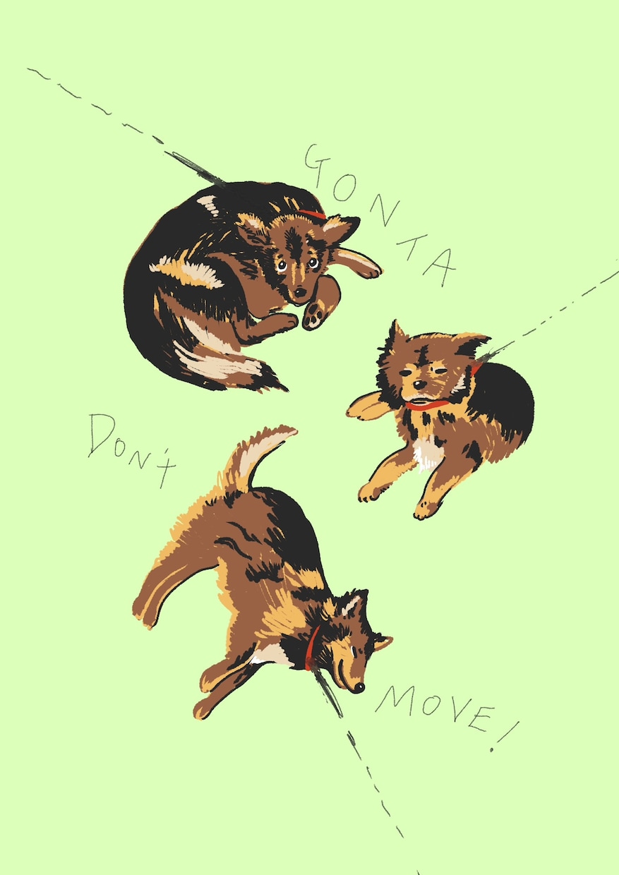 わんちゃん、ねこちゃん、ペットのイラスト描きます 大切な家族である最愛のペットのイラスト描きます。 イメージ4