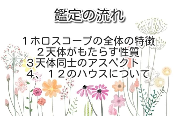 超ボリューム２万文字以上でホロスコープ鑑定をします ホロスコープから分かるあなたの個性や人生をすべて教えます イメージ2