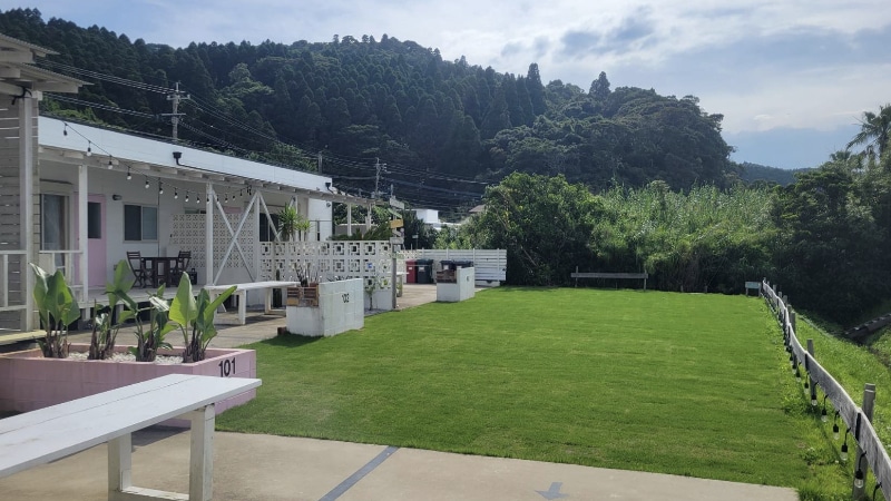 芝生のお悩み聞きます 野芝、コウライ芝、ティフトン、セントオーガスチンなどのご相談 イメージ4