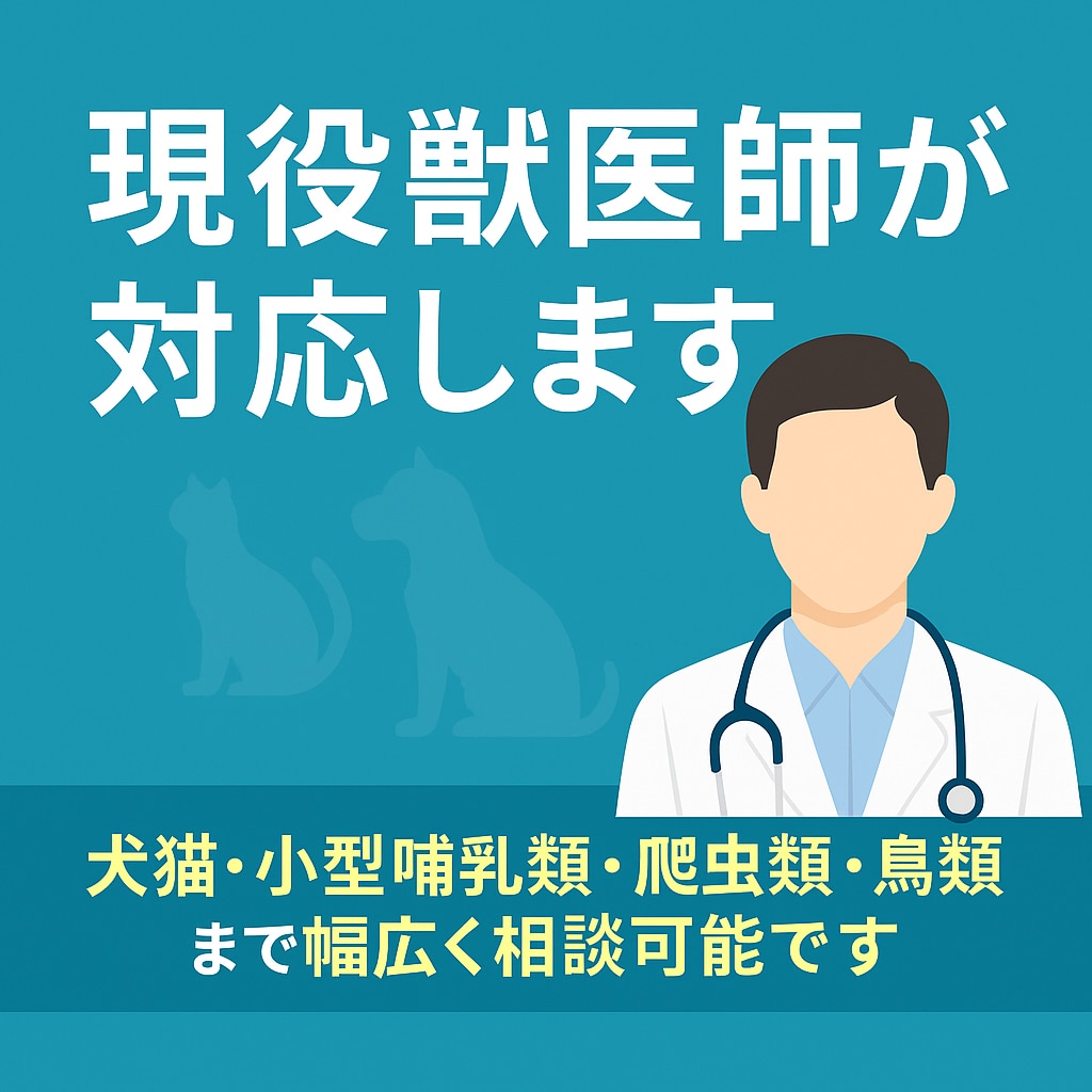 高齢ペットの介護や生活の悩みを一緒に考えます 日常ケアや生活改善の工夫を提案します イメージ8