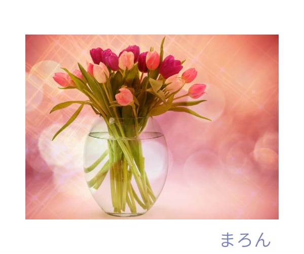あなたは悪くありません☘️否定せずお聴きします モラハラ／DV／共依存／パートナーとの悩み☘️電話相談 イメージ6