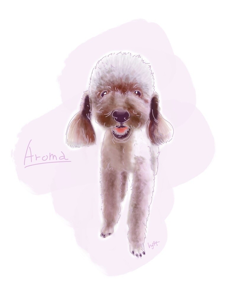 写真から大切なワンちゃんの思い出イラスト作成します 写真から大切なワンちゃんの思い出をイラストにいたします。 イメージ5