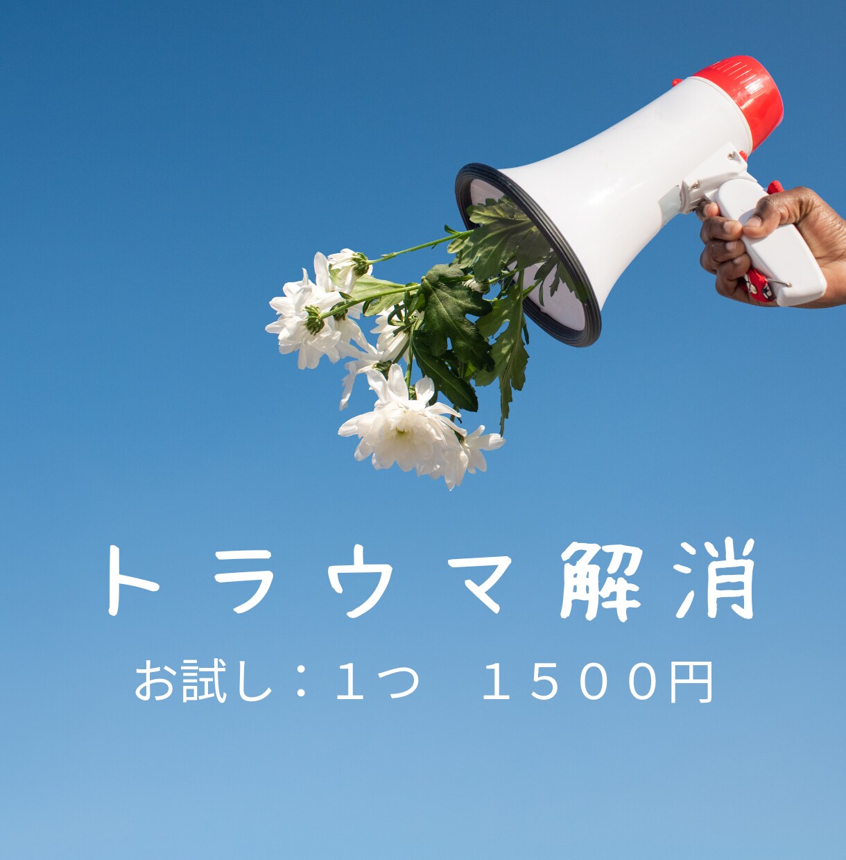 お試し：あなたのトラウマを１つ解消します 感情が湧き出て辛い過去のトラウマが、ふつうの思い出になります イメージ1