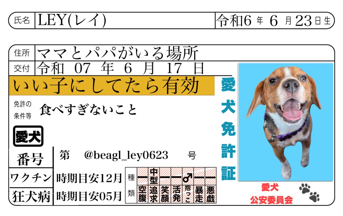 世界に一つだけの愛犬名刺、作ります 思わず配りたくなる、うちの子の特別な一枚 イメージ1