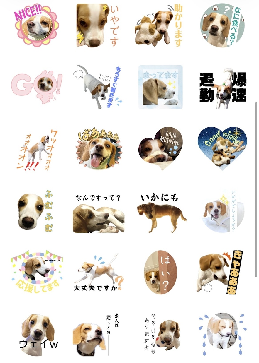 大切な家族のLINEスタンプを作成します 【かわいい・見やすい・使いやすい♡】 イメージ4