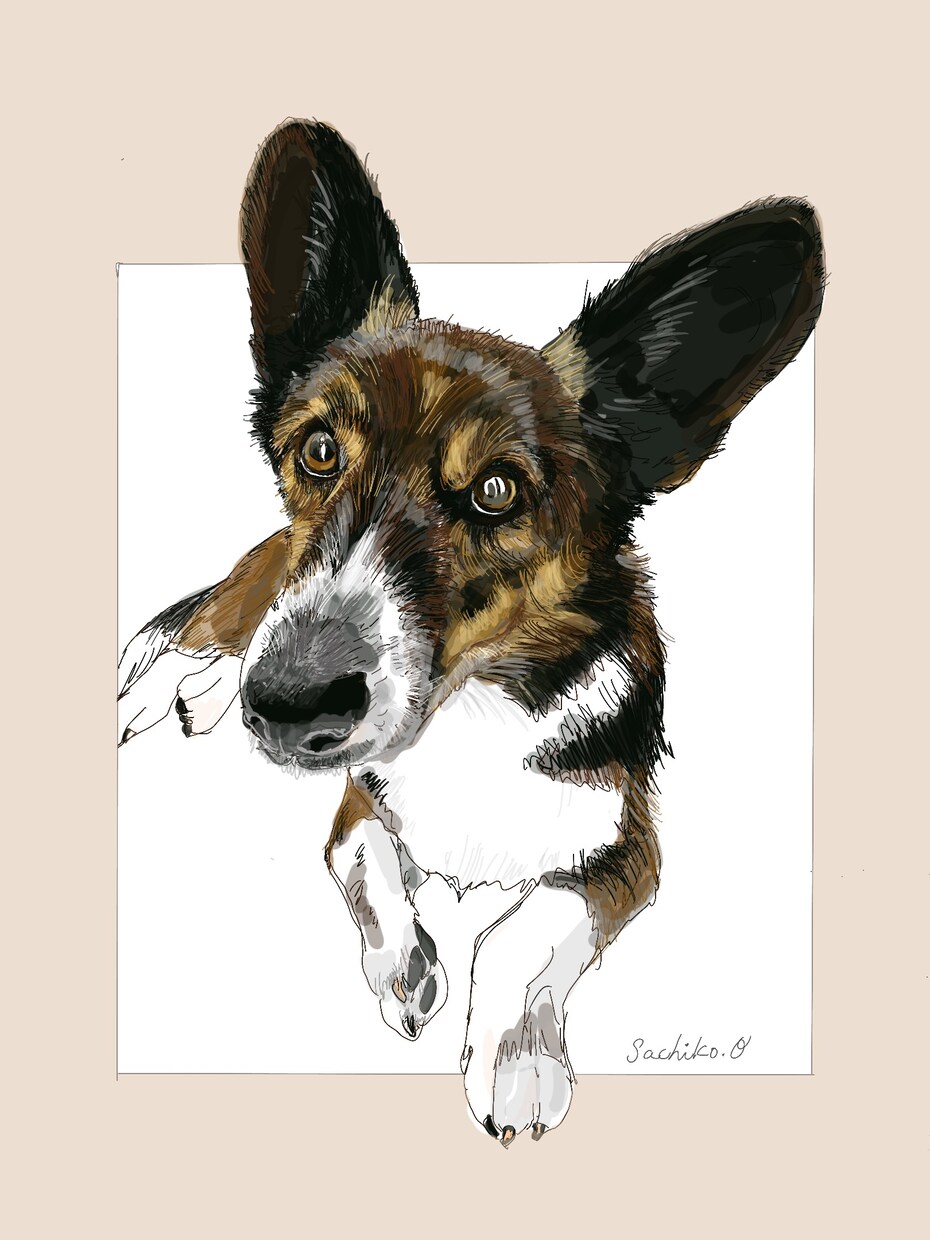 写真からご希望のイメージで詳細イラストを作成します 可愛い動物の残したいイメージ素敵なカードやバナーにも使えます イメージ10