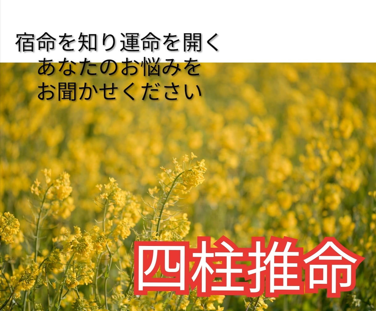 四柱推命  開運法をお伝え致します 自信をつけたい貴方へ。本当の貴方はどんな人？占い鑑定 開運 イメージ1
