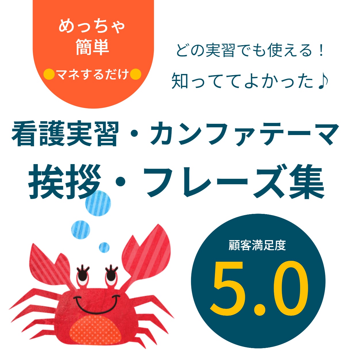 発表・報告【初めての看護実習】事例あります 【PDF・スマホOK】マネして、●●を埋めて、話すだけ♪ イメージ1