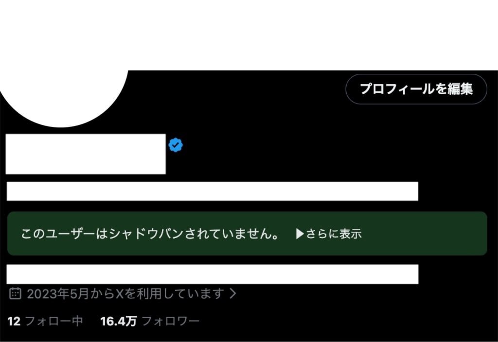 X総フォロワー30万人の私がSNSを診断します あなたのSNSを1:1で見て、戦略のご提案をします イメージ2