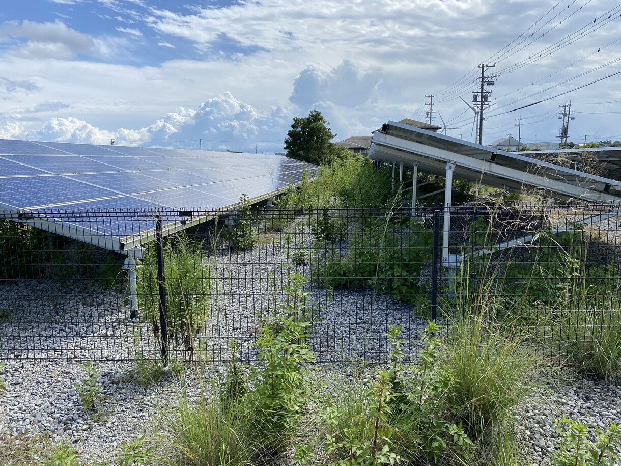 産業用太陽光発電所の除草を行います 元野立て太陽光開発担当者が行う、除草代行と点検作業です イメージ6