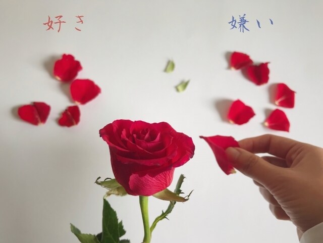 新しい恋に進むべき？等YES/NOで即日鑑定します １人で悩まないで☆回答+簡単な理由+アドバイス！即日鑑定♡ イメージ1