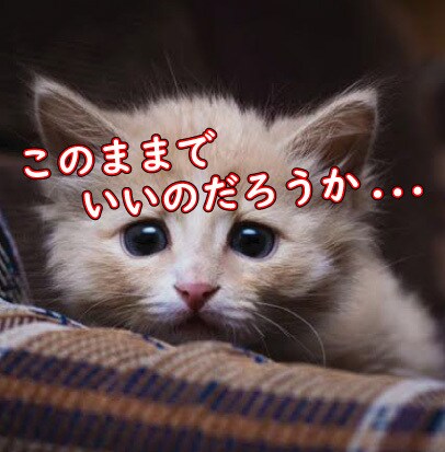 あなたの役割・居場所を見つけます 前世・現世・来世から読み解く働き方改革！！ イメージ6