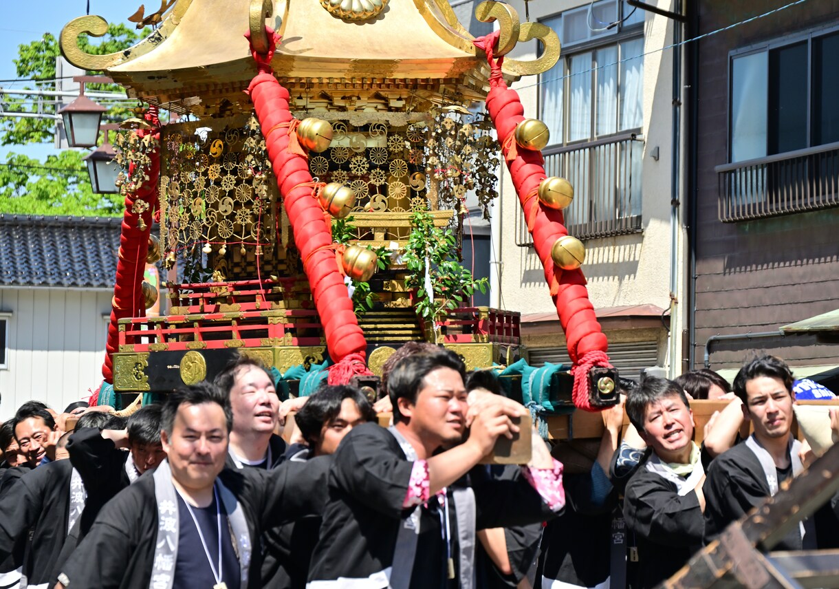 井波よいやさ祭りの写真を提供します ６つの神輿が町内を練り歩き、魔除けの獅子舞も披露される伝統祭 イメージ6