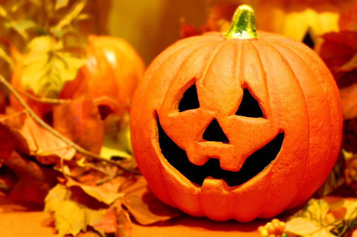ハロウィン向けデザイン承ります 高いクオリティで価格を抑えたい方へ イメージ3