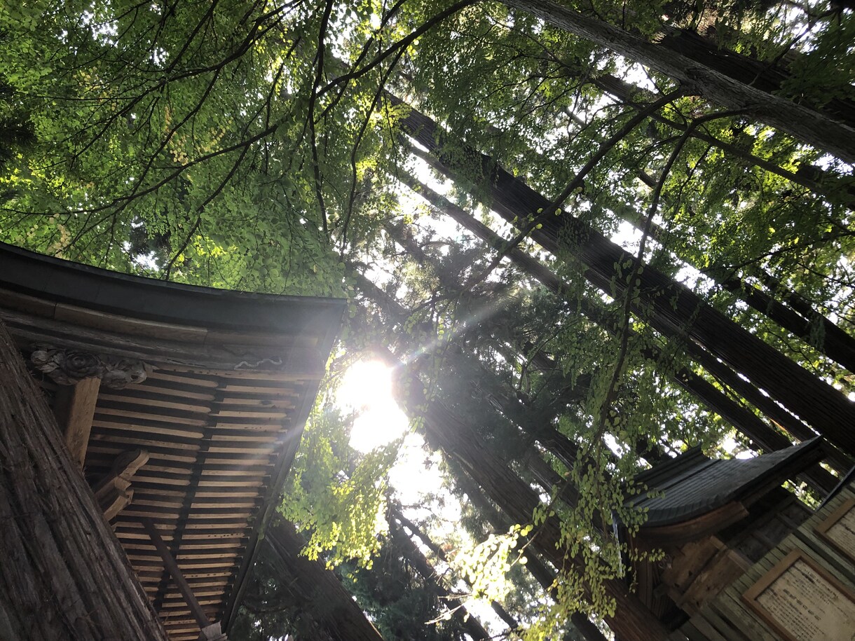 悩み相談、愚痴、話し相手いたします 話しやすいと言われますから、何でもお気軽にどうぞ！ イメージ2